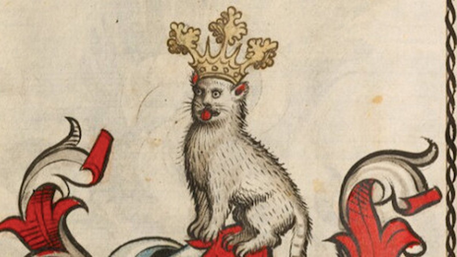all-you-need-to-know-about-medieval-cats