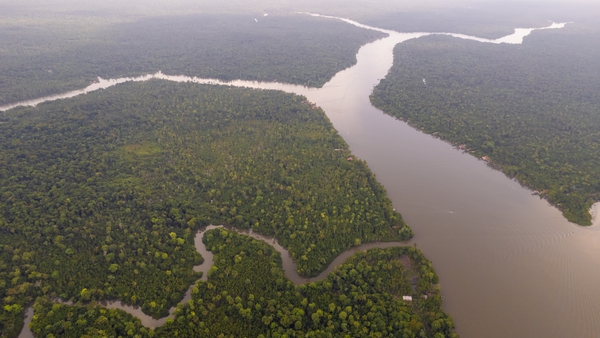 An aerial view of a section of river in the Igarapé Miri area of the Amazon, Brazil (file image)