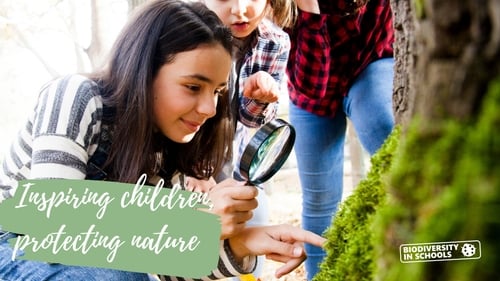 Get Your Free Biodiversity In Schools Pack Here!