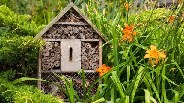 Dense planting around a bee hotel (Rowse/PA)