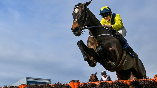 Good Land is in action on Wednesday in the Ballymore Novices' Hurdle