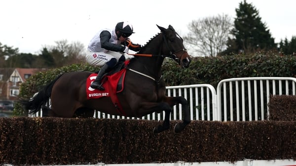 Gerri Colombe is a a general 5-1 shot for the Cheltenham Gold Cup