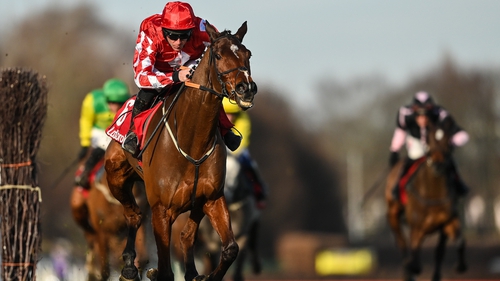 Mighty Potter holds multiple entries at the Cheltenham Festival but looks destined for the Turners Novices' Chase