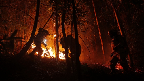 Firefighters in a burning forest in Puren in the Araucania region of Chile