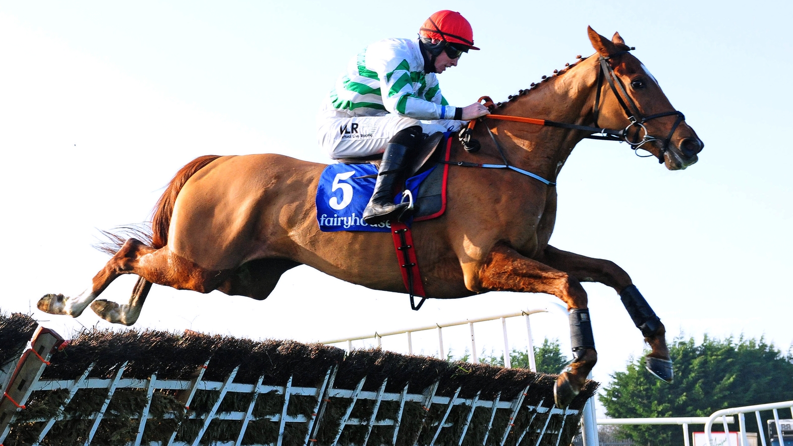 Zanahiyr disqualified from last year's Champion Hurdle