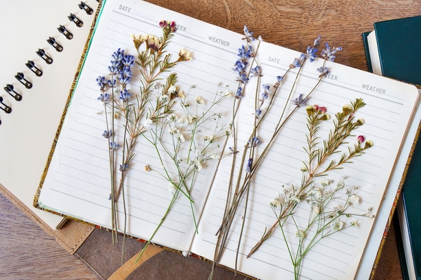 Pressed flowers (Alamy/PA)