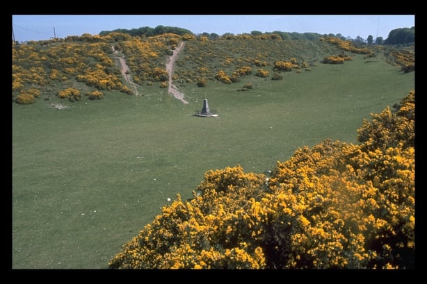 Donnelly's Hollow