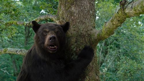 Cocaine Bear - a celebration of gleeful bad taste