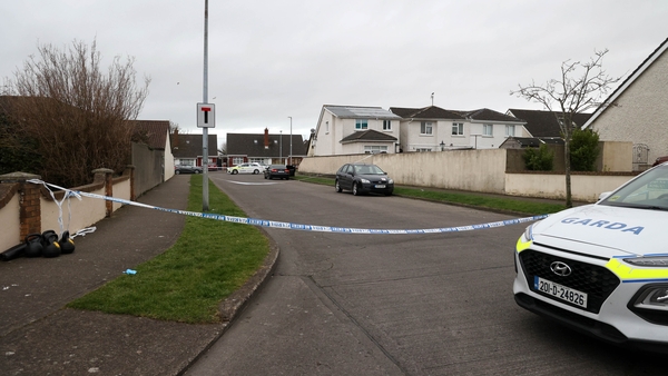 The attack happened on Brookdale Avenue in Swords (Pic: RollingNews.ie)