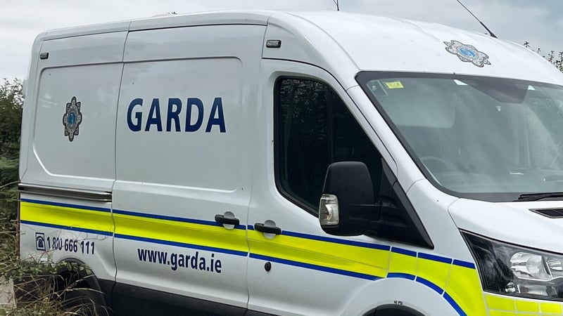 The two men were arrested after gardaí searched nine properties in Drogheda as part of an investigation into drugs, firearms and financial crime aimed at disrupting the activities of the Co Louth town's two organised crime groups