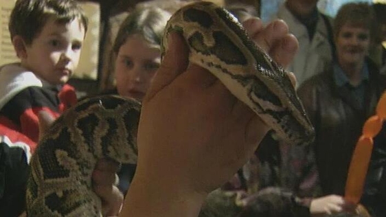 Snake at Dublin Zoo (1998)