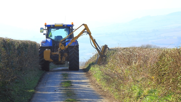 A ban on cutting hedgerows is in effect until 31 August