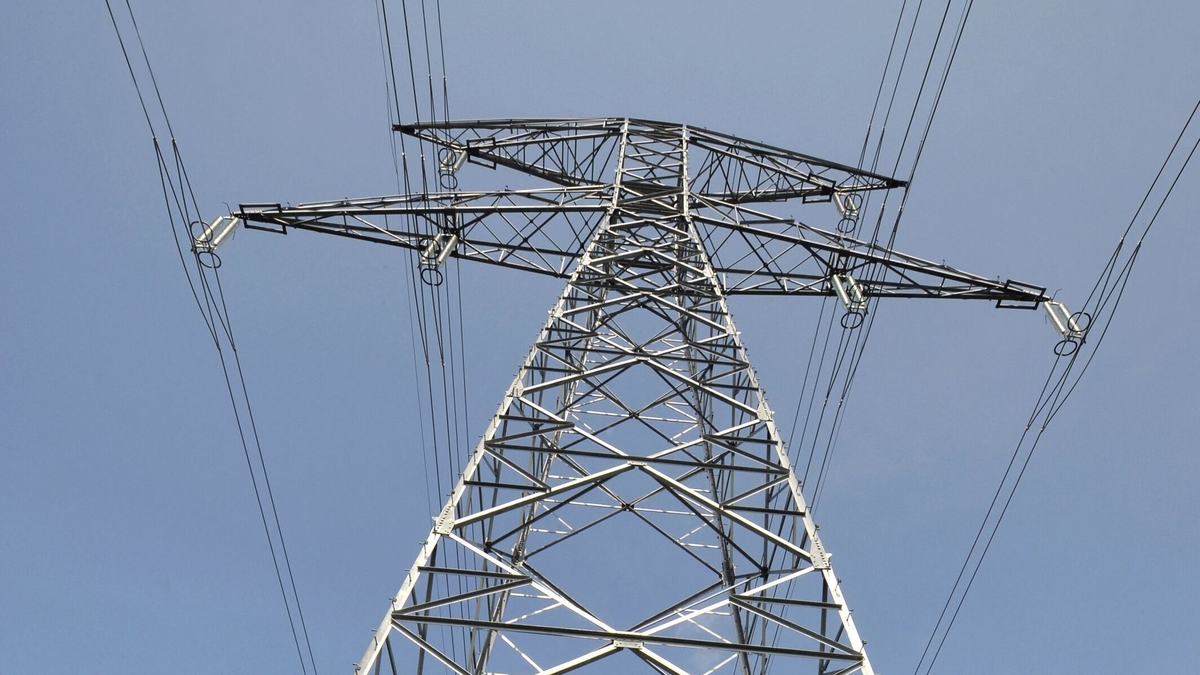 Electric Ireland Cuts to business bills but not domestic customers