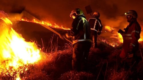 24 blazes were tackled by fire crews in Kerry yesterday