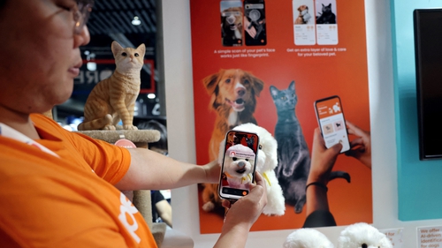 South Korean start up Petnow shows its new app aimed at identifying a cat or dog after scanning its nose at MWC 2023