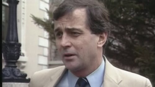 Brian Donnelly speaking to RTÉ News in January 1989