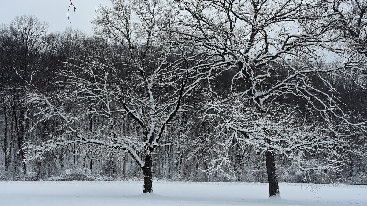 Weather Joanna Donnelly has the latest as the cold snap takes hold
