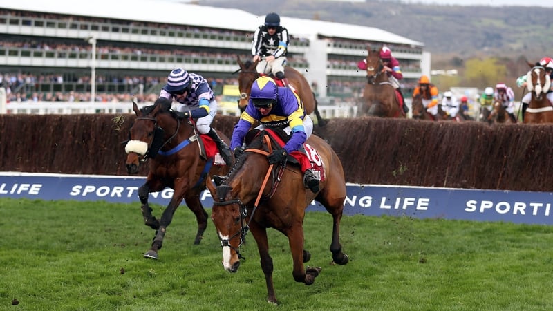 Corach Rambler will go in the Grand National at Aintree