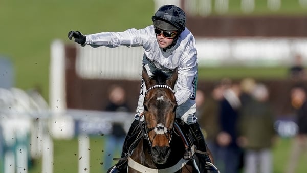 Constitution Hill stormed home at Cheltenham