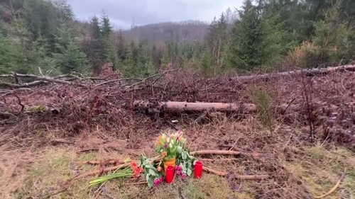 The victim, known only as Luise, went missing on Saturday afternoon after leaving a friend's house near the town of Freudenberg