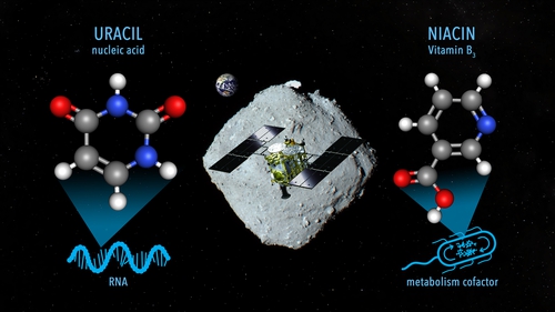 The discovery of uracil in the samples from Ryugu lends strength to current theories regarding the source of nucleobases in the early Earth