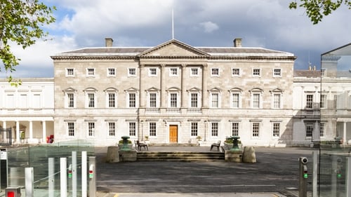 The boy managed to get access inside Leinster House and it is understood some damage was caused