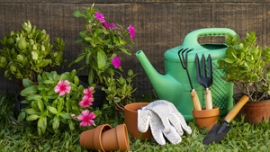 It's the busiest time of the year in the garden, …