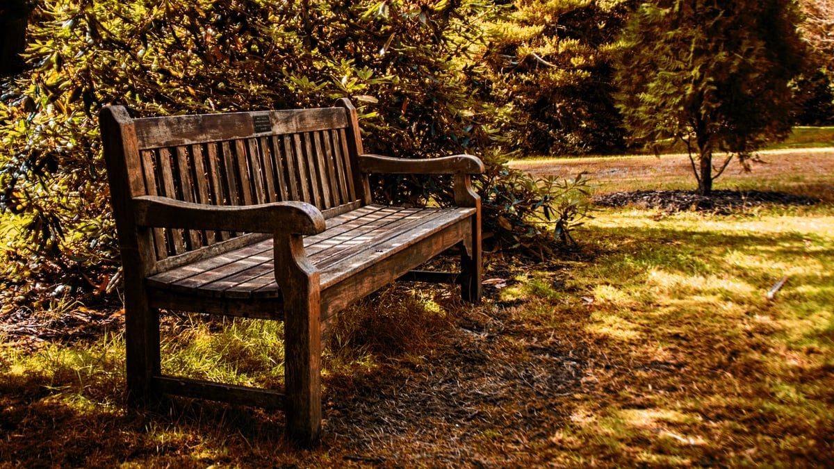 Park Bench Park Bench RTÉ Radio 1
