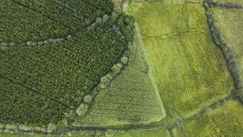 The "minimal" exemption for farmers from the RZLT