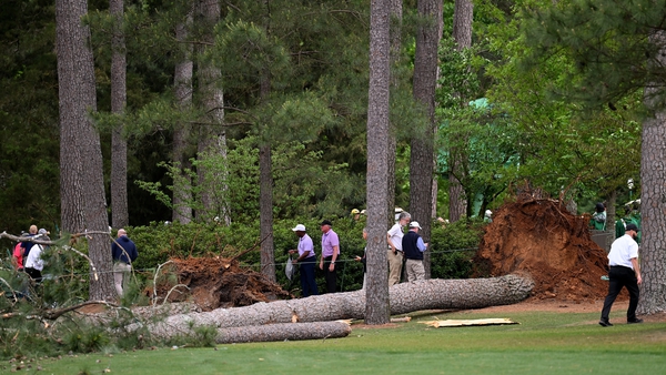 Several trees fell down around the 17th hole in high winds