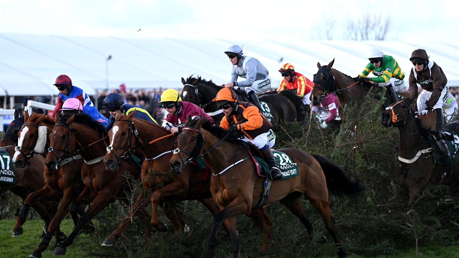 Grand National: 34 Irish-trained remain in