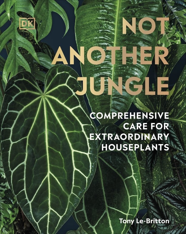 Book jacket of Not Another Jungle by Tony Le-Britton (DK/PA)