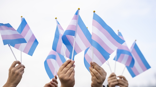trans pride flags