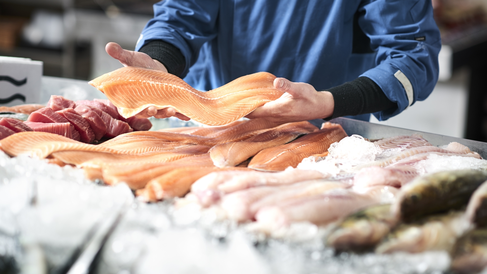 Value of seafood economy up 4% in 2022 to €1.3bn