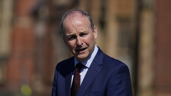 Micheál Martin said Fianna Fáil is preparing for the local and European elections (file pic)