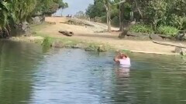 A visitor to the zoo named Jemma took a video as the man entered the moat
