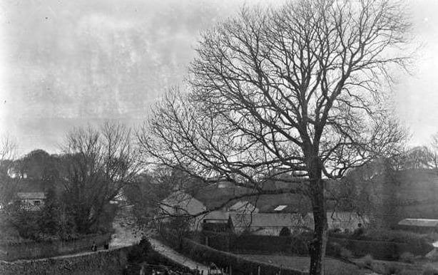 Lurganboy, Co. Leitrim, in the early 1900s Photo: National Library of Ireland, Eas 2643