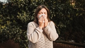 Surviving Hay Fever Season 