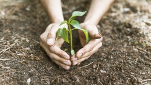 Celebrating soil biodiversity at UCD
