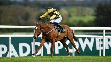 State Man wins the Champion Hurdle at Punchestown