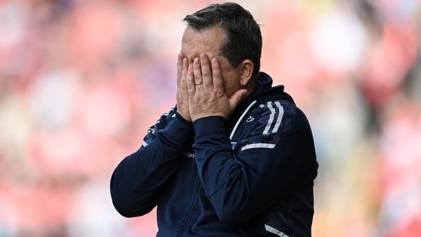 Waterford manager Davy Fitzgerald reacts during the defeat to Cork