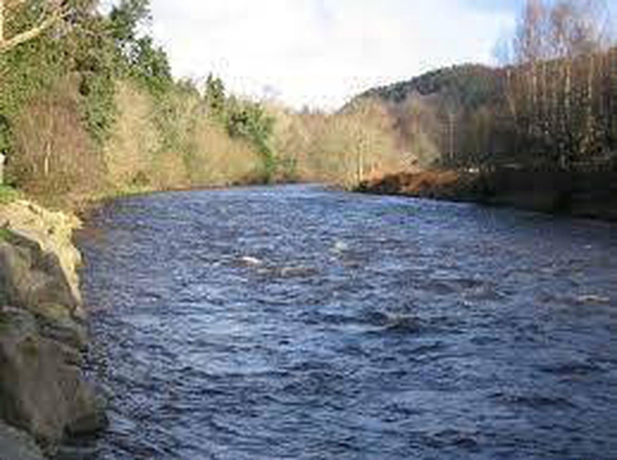 Bank Holiday Special :  A Wicklow  River Walk - Part 2