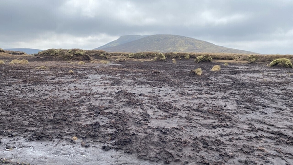 A badly damaged bog on Barnacullian Mountain in West Wicklow
