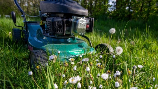 Leave the lawnmower in the shed this month - nature will thank you