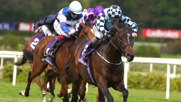 Sprewell improved for the step up in trip at Leopardstown