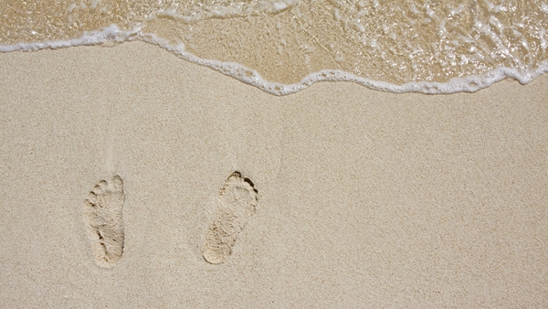 The eDNA from the footprints even yielded part of the volunteer's sex chromosomes. Photo: Getty Images