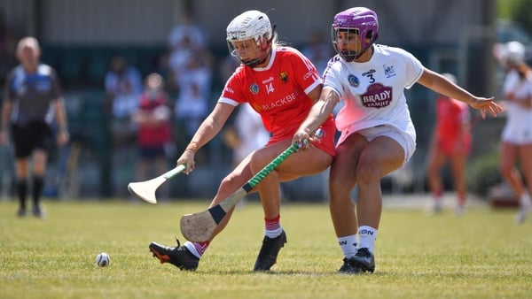 Kildare will not enter a team into this year's All-Ireland Camogie intermediate championship