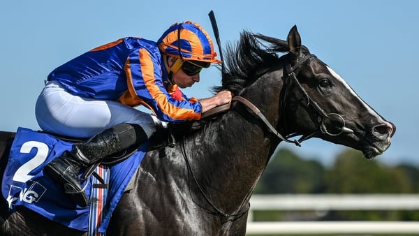 Auguste Rodin is going for a Derby double
