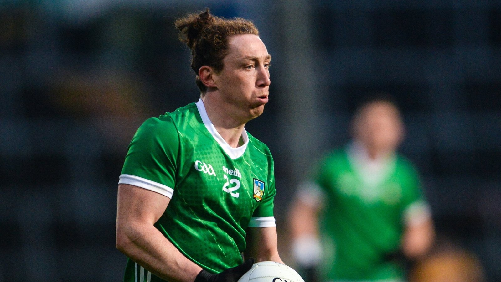 Peter Nash to the fore as Limerick power past Carlow