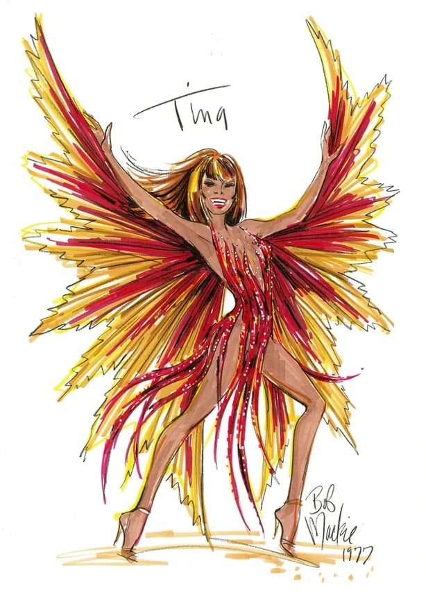 The iconic flame dress was designed by Bob Mackie (Bob Mackie/V&A/PA)
